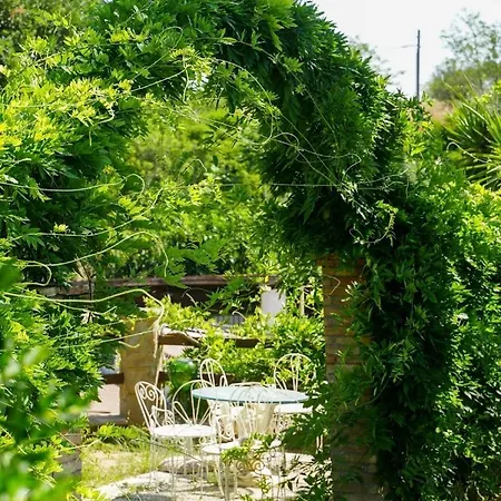 Tenuta San Tommaso